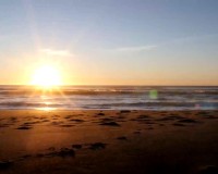 Nieuwbouw Woningen - Apartment - Torrevieja - Centro