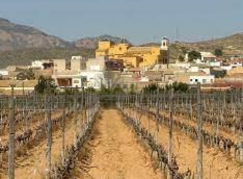 Nieuwbouw Woningen - Bungalow - Hondón de las Nieves - El Salero