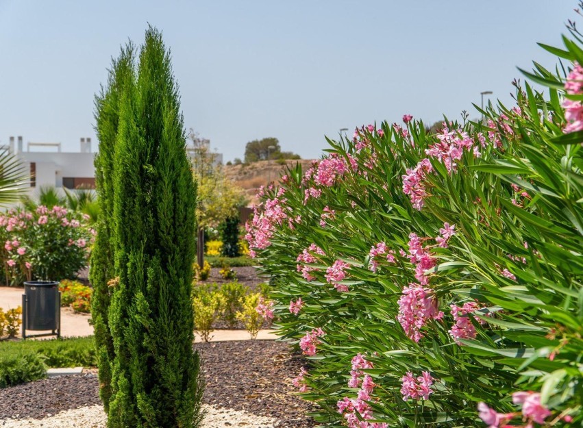 Nieuwbouw Woningen - Bungalow - Orihuela - Vistabella Golf