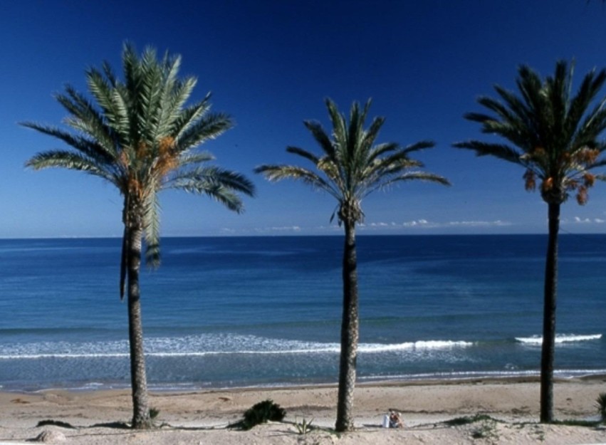 Nieuwbouw Woningen - Bungalow - Pilar de la Horadada - Parque Ramon eugenio Escudero