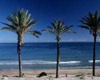 Nieuwbouw Woningen - Bungalow - Pilar de la Horadada - Parque Ramon eugenio Escudero