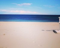 Nieuwbouw Woningen - Bungalow - Pilar de la Horadada - Parque Ramon eugenio Escudero