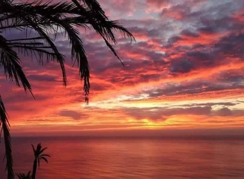 Nieuwbouw Woningen - Bungalow - Torrevieja - Altos del Sol