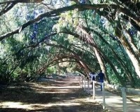 Nieuwbouw Woningen - Bungalow - Torrevieja - Altos del Sol