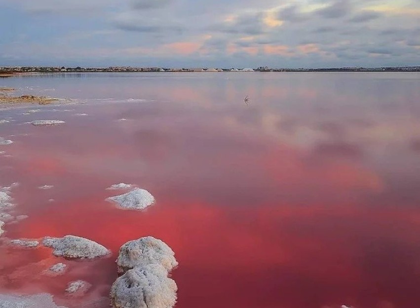 Nieuwbouw Woningen - Bungalow - Torrevieja - Lago Jardín II