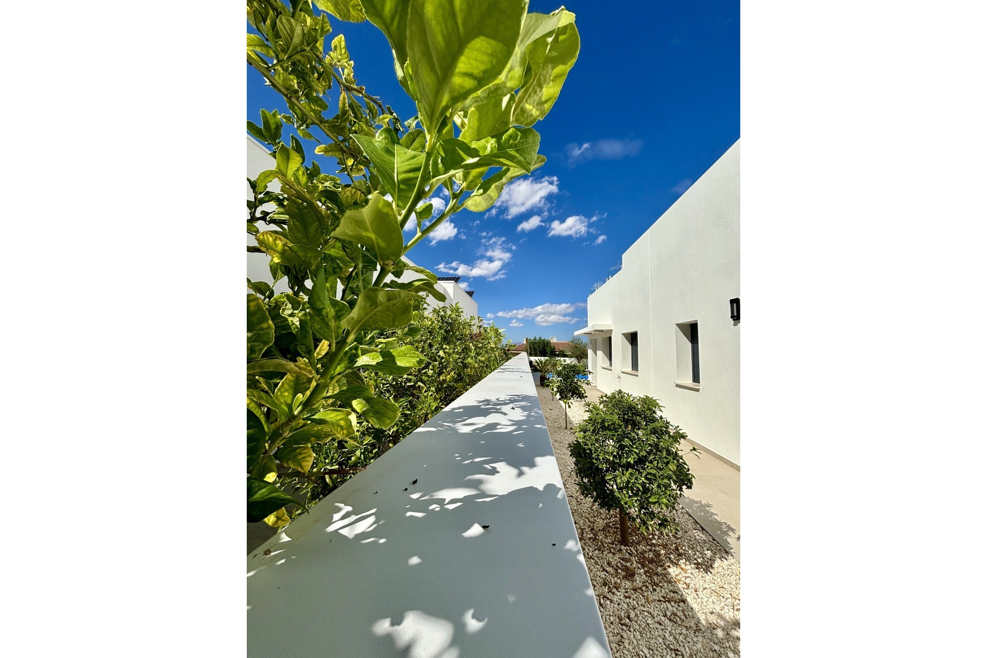 Nieuwbouw Woningen - detached - Benijofar