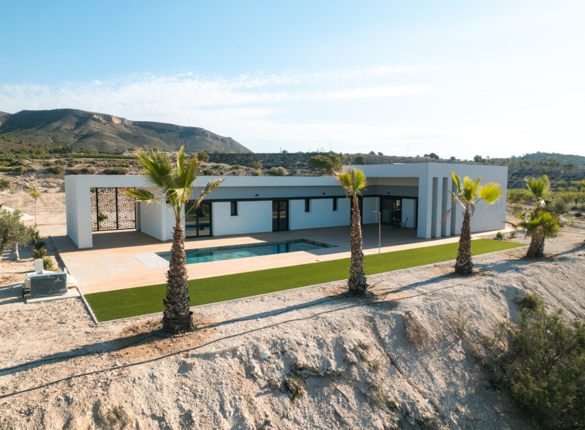 Nieuwbouw Woningen - detached - Pinoso