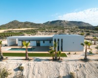 Nieuwbouw Woningen - detached - Pinoso