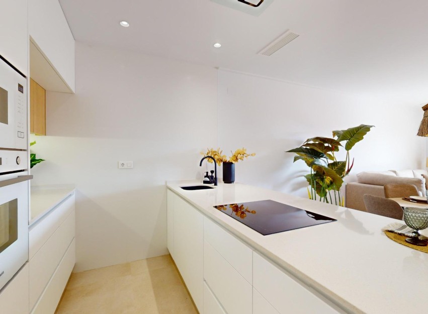 Nieuwbouw Woningen - Penthouse - Guardamar del Segura - El Raso