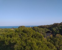 Nieuwbouw Woningen - Penthouse - Guardamar del Segura - Pueblo