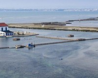 Nieuwbouw Woningen - Penthouse - San Pedro del Pinatar - Pueblo