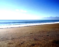 Nieuwbouw Woningen - Penthouse - Torrevieja - Centro