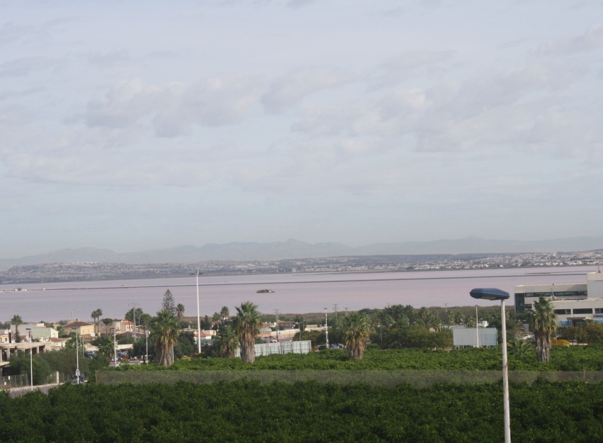 Nieuwbouw Woningen - semi-detached - Torrevieja