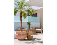 Nieuwbouw Woningen - Town House - Dolores - Sector 3