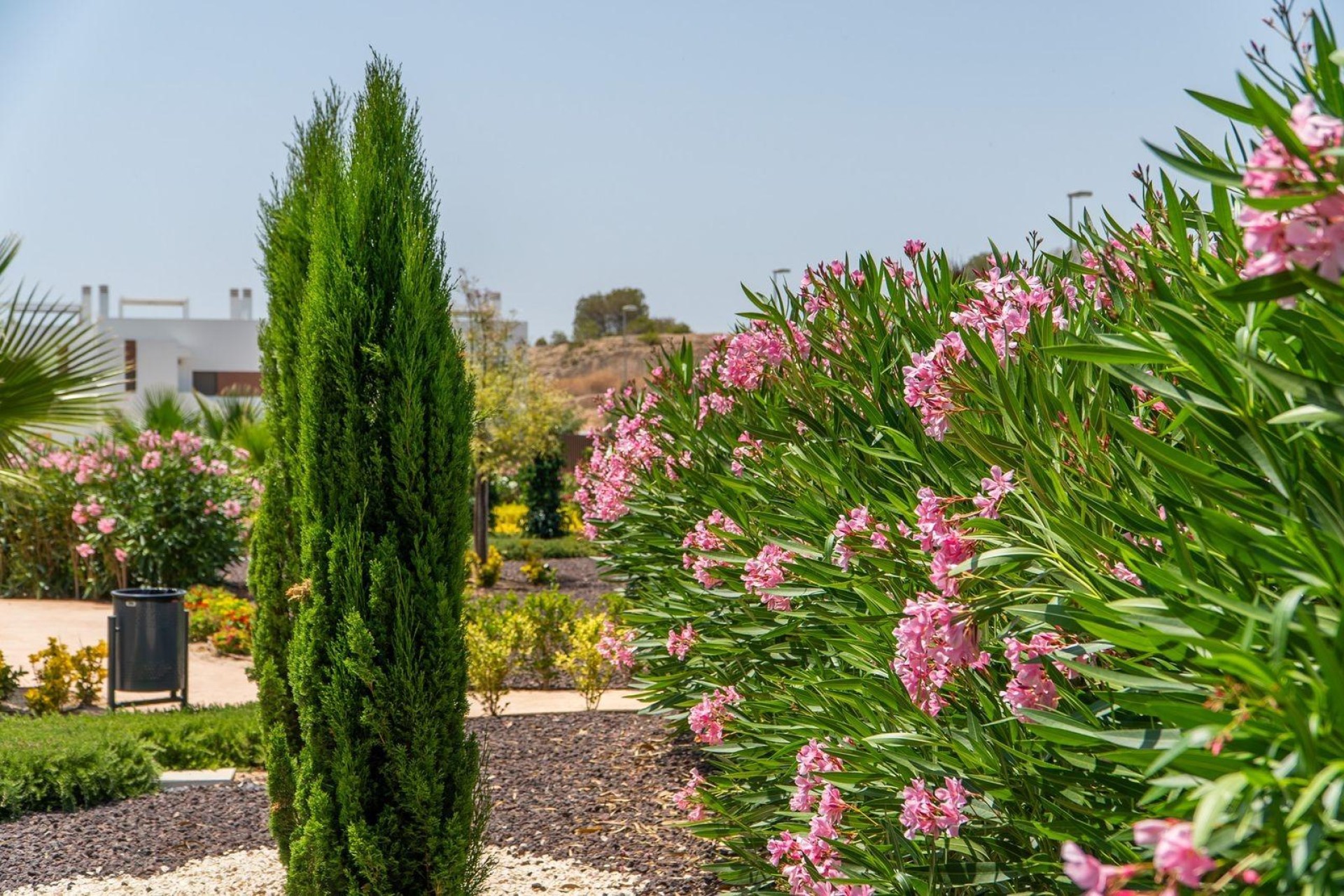 Nieuwbouw Woningen - Town House - Orihuela - Vistabella Golf