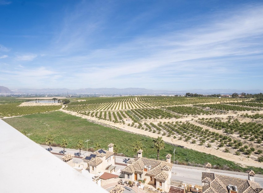Nieuwbouw Woningen - Villa - Algorfa - La Finca Golf