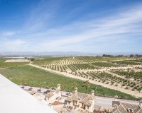 Nieuwbouw Woningen - Villa - Algorfa - La Finca Golf