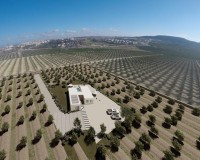 Nieuwbouw Woningen - Villa - Algorfa - Lomas De La Juliana