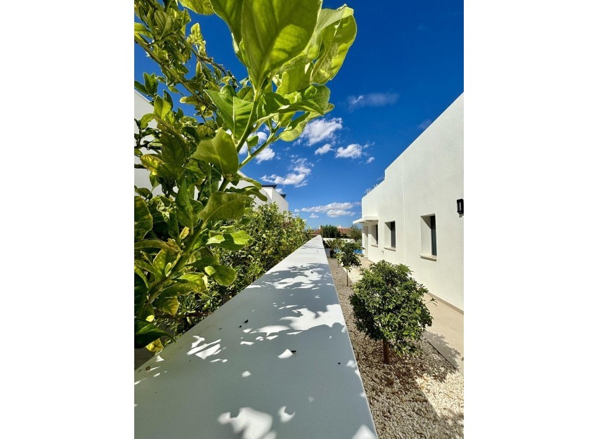 Nieuwbouw Woningen - Villa - Benijofar - Pueblo