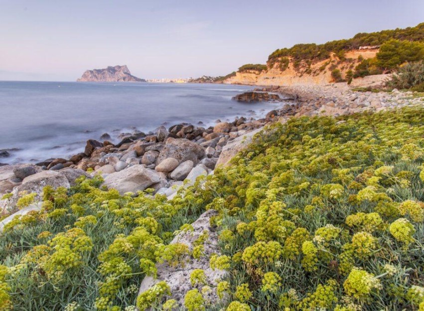 Nieuwbouw Woningen - Villa - Benissa - Cala Advocat