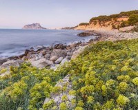 Nieuwbouw Woningen - Villa - Benissa - Cala Advocat