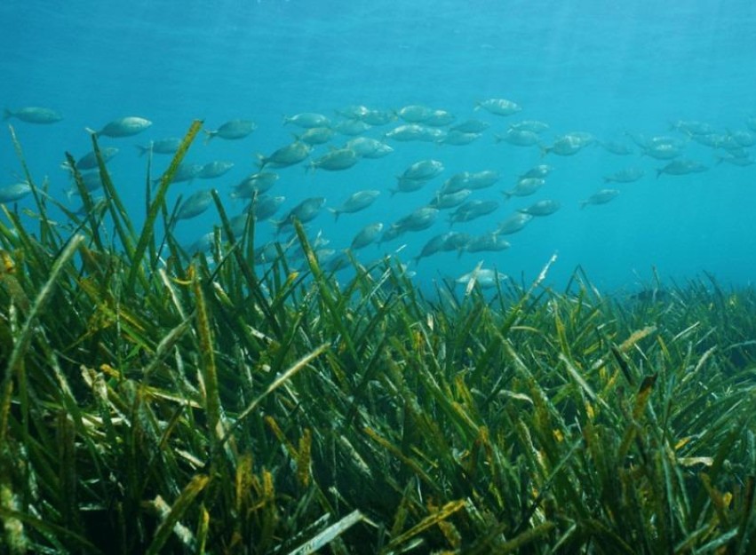 Nieuwbouw Woningen - Villa - Benissa - Racó Del Galeno