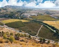 Nieuwbouw Woningen - Villa - Calasparra - Coto Riñales