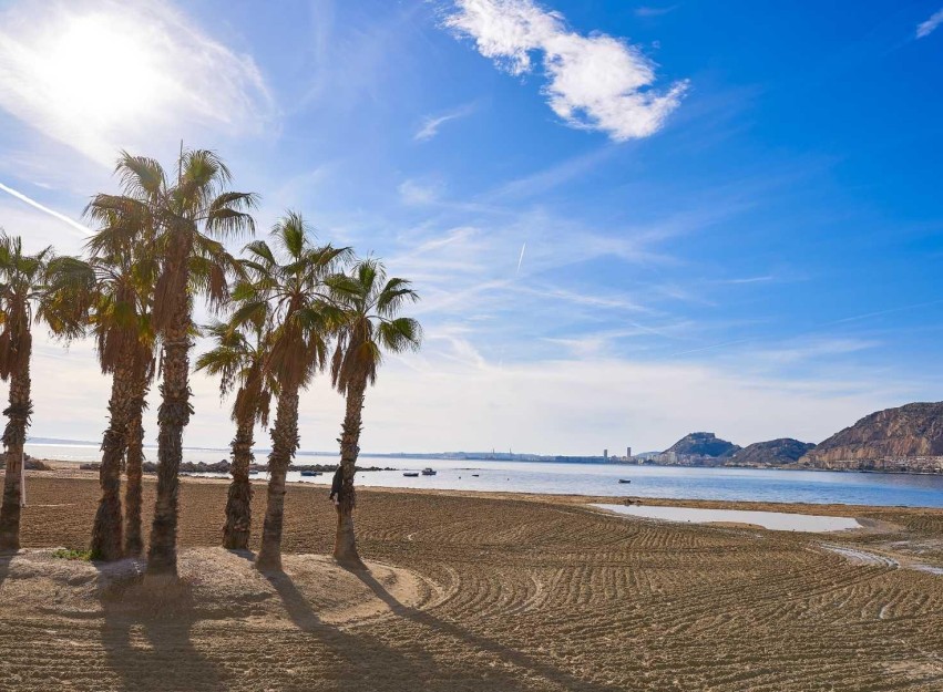 Nieuwbouw Woningen - Villa - Els Poblets - Partida Barranquets