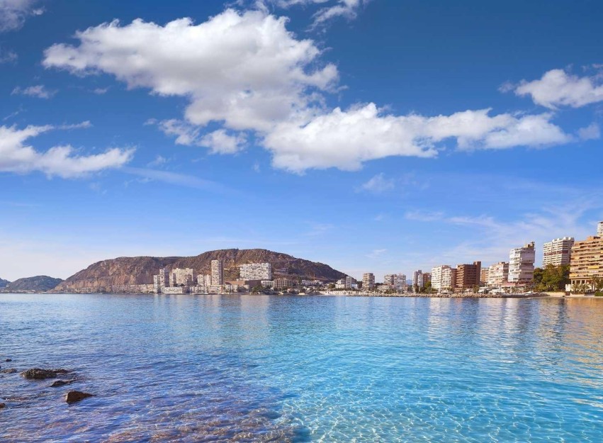 Nieuwbouw Woningen - Villa - Els Poblets - Partida Barranquets