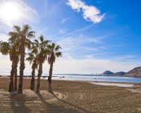 Nieuwbouw Woningen - Villa - Els Poblets - Partida Barranquets