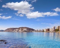 Nieuwbouw Woningen - Villa - Els Poblets - Partida Barranquets