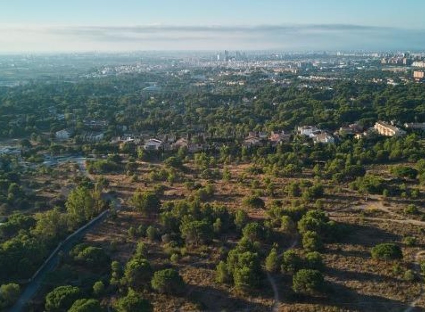 Nieuwbouw Woningen - Villa - Godella - Campolivar