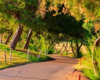 Nieuwbouw Woningen - Villa - Pilar de la Horadada - Lo Romero Golf