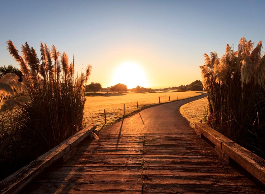 Nieuwbouw Woningen - Villa - Pilar de la Horadada - Lo Romero Golf