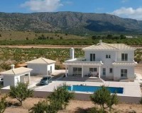 Nieuwbouw Woningen - Villa - Pinoso - Camino Del Prado