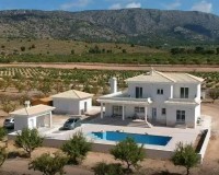 Nieuwbouw Woningen - Villa - Pinoso - Camino Del Prado