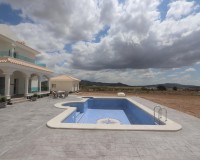 Nieuwbouw Woningen - Villa - Pinoso - Camino Del Prado