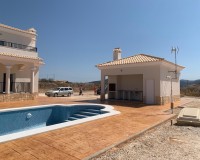 Nieuwbouw Woningen - Villa - Pinoso - Camino Del Prado