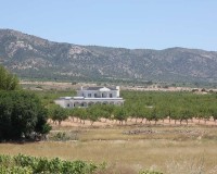 Nieuwbouw Woningen - Villa - Pinoso - Camino Del Prado