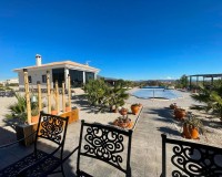 Nieuwbouw Woningen - Villa - Pinoso - Camino Del Prado