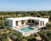 Nieuwbouw Woningen - Villa - Pinoso - Casas Pastor