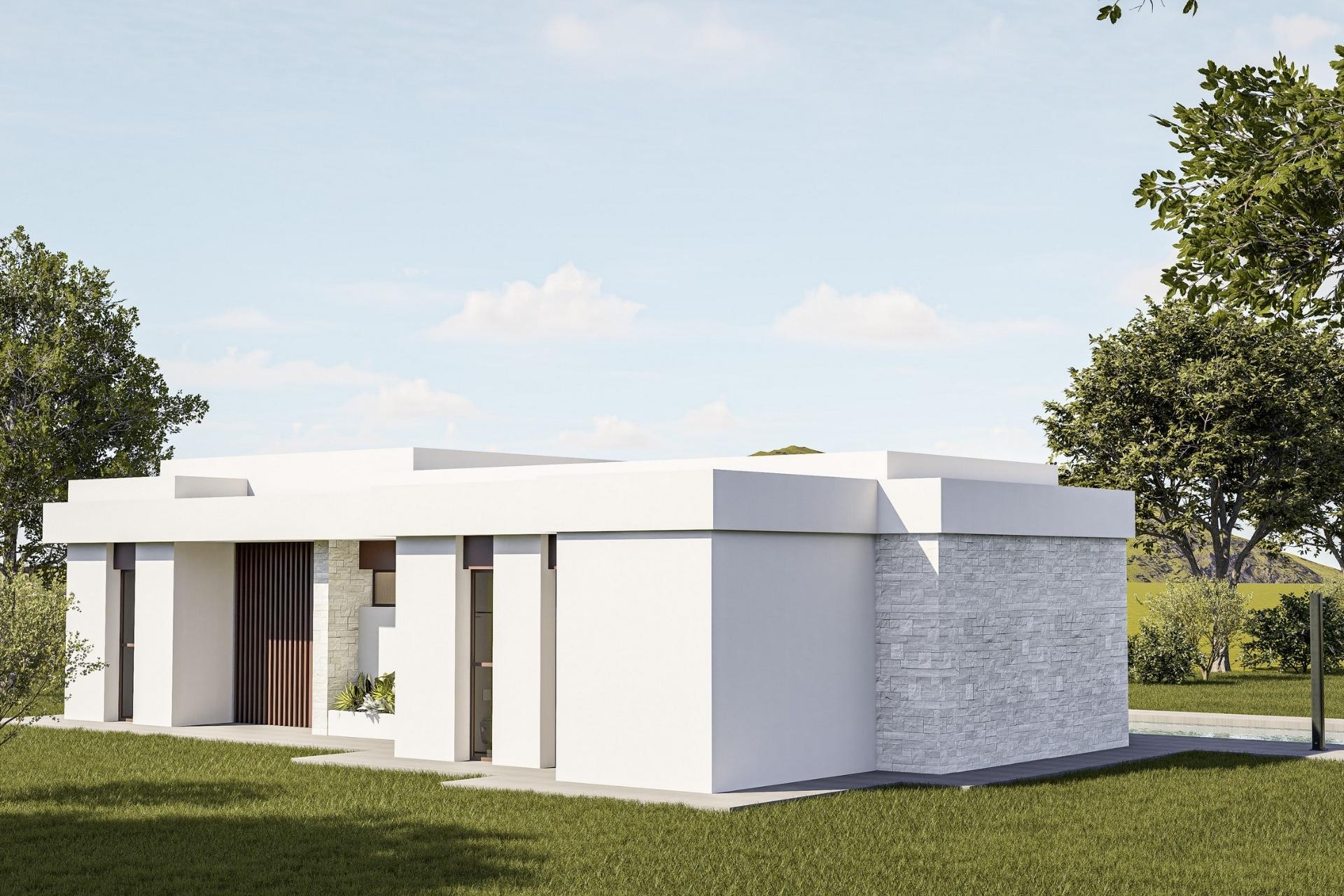 Nieuwbouw Woningen - Villa - Pinoso - Lel