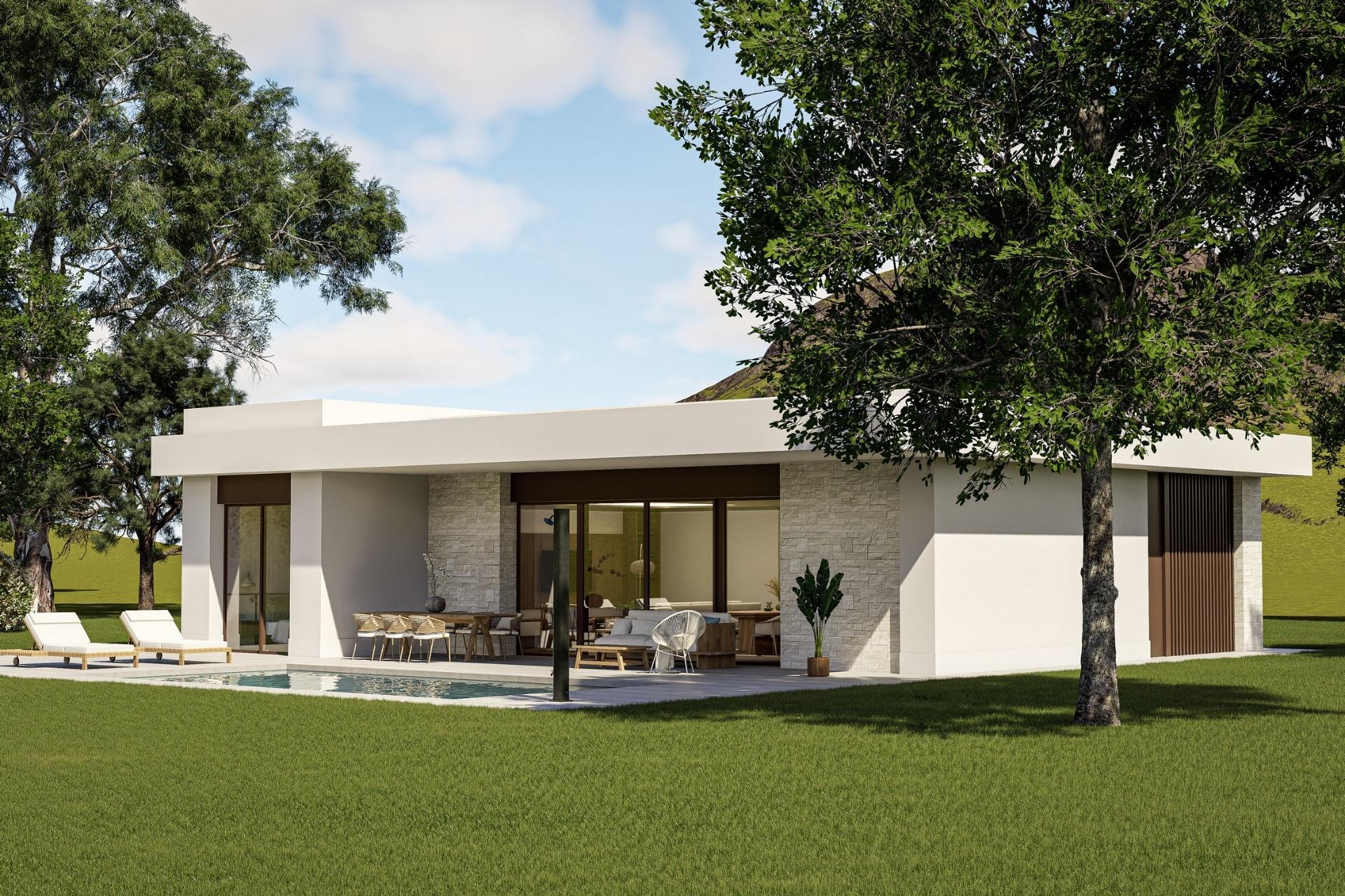 Nieuwbouw Woningen - Villa - Pinoso - Lel