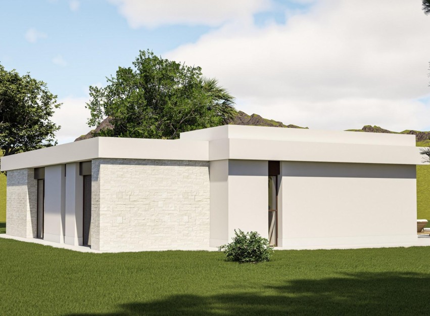 Nieuwbouw Woningen - Villa - Pinoso - Lel