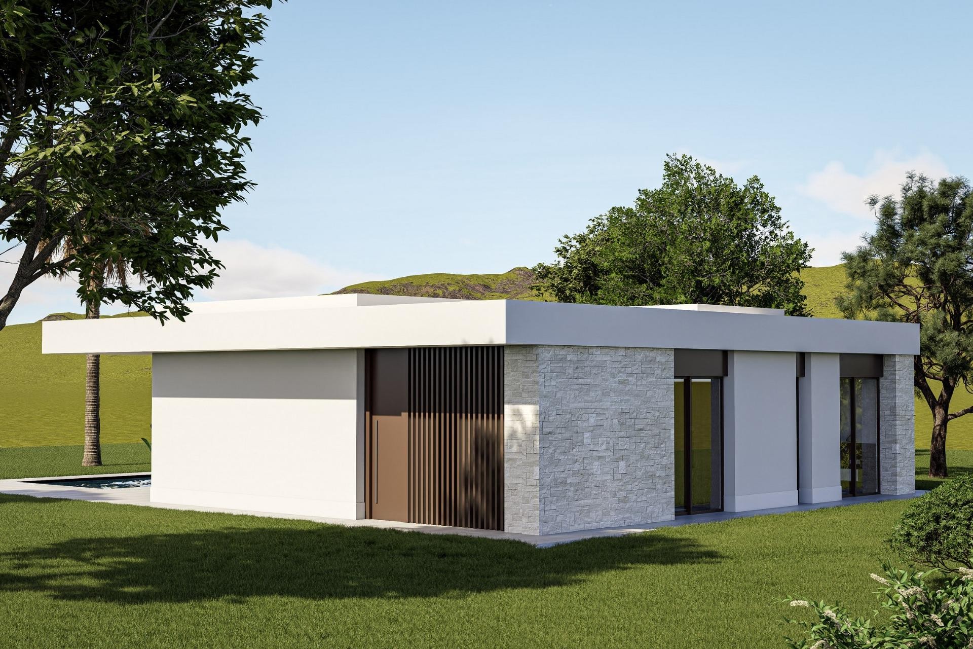 Nieuwbouw Woningen - Villa - Pinoso - Lel