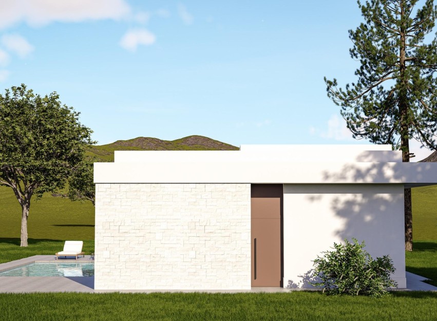Nieuwbouw Woningen - Villa - Pinoso - Lel
