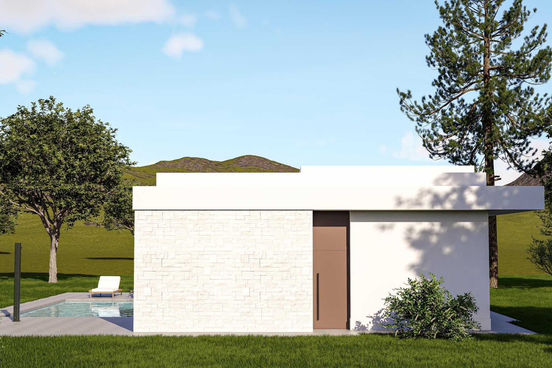Nieuwbouw Woningen - Villa - Pinoso - Lel