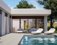 Nieuwbouw Woningen - Villa - Pinoso - Lel