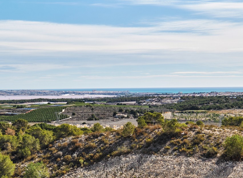 Nieuwbouw Woningen - Villa - San Miguel de Salinas