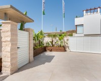 Nieuwbouw Woningen - Villa - Vera - Vera Playa